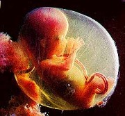 251608-life011.jpg