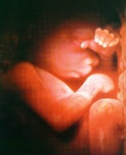 251611-life013.jpg
