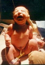 251617-life018.jpg