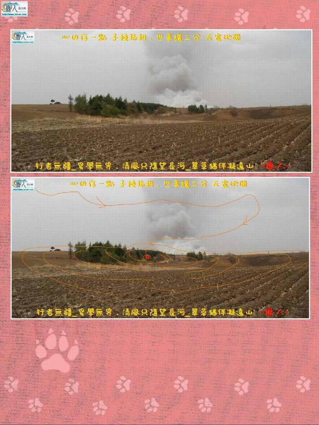 collage-1493989850256.jpg