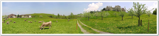 281810-a.jpg