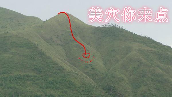 附圖六.jpg