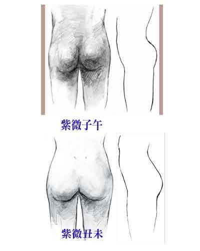 308428-vb001.jpg
