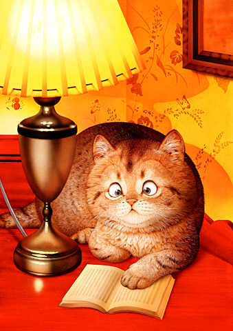 14-17896-Cat.jpg