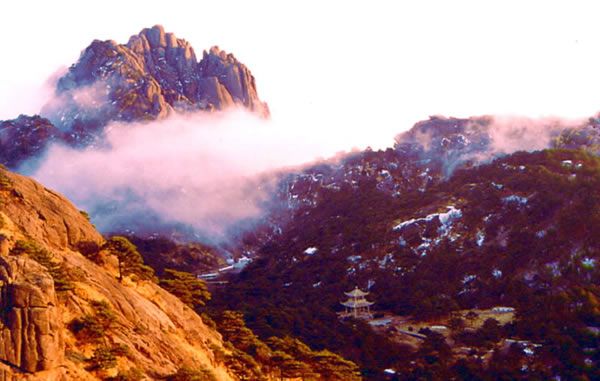 318561-H01.jpg