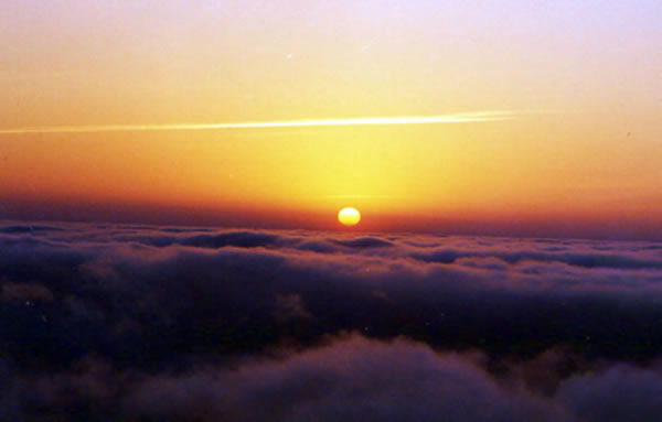 318562-H03.jpg