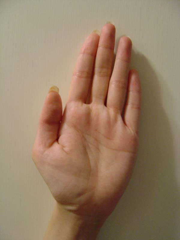 333874-left1.jpg