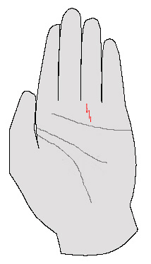 338863-55.jpg