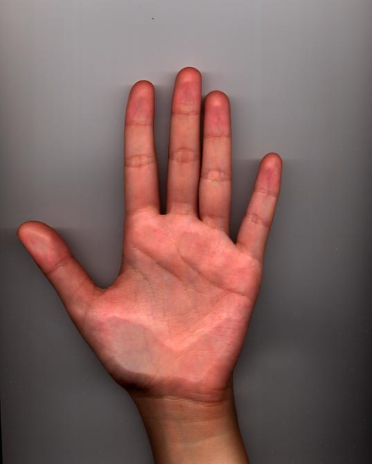 351024-left.jpg