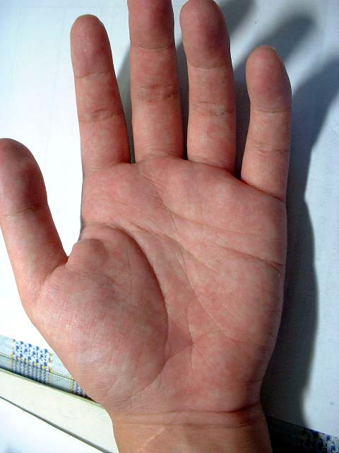 18-25244-MyHand.jpg