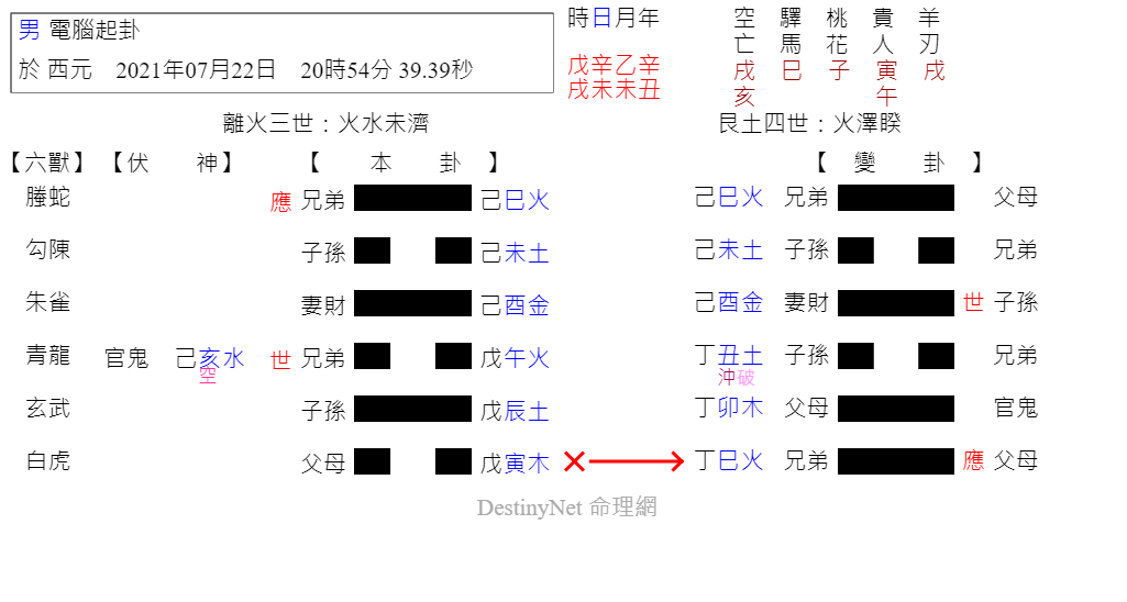 葉.png
