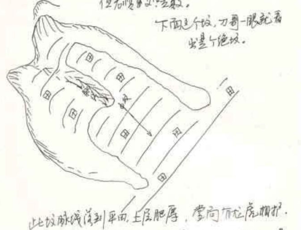 敗絕墳案例.jpg