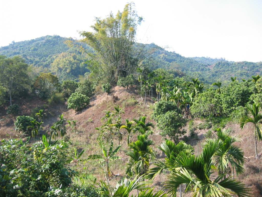 406452-100-0001_IMG.jpg