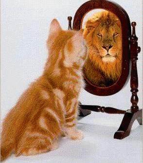 416627-Lion124.jpg