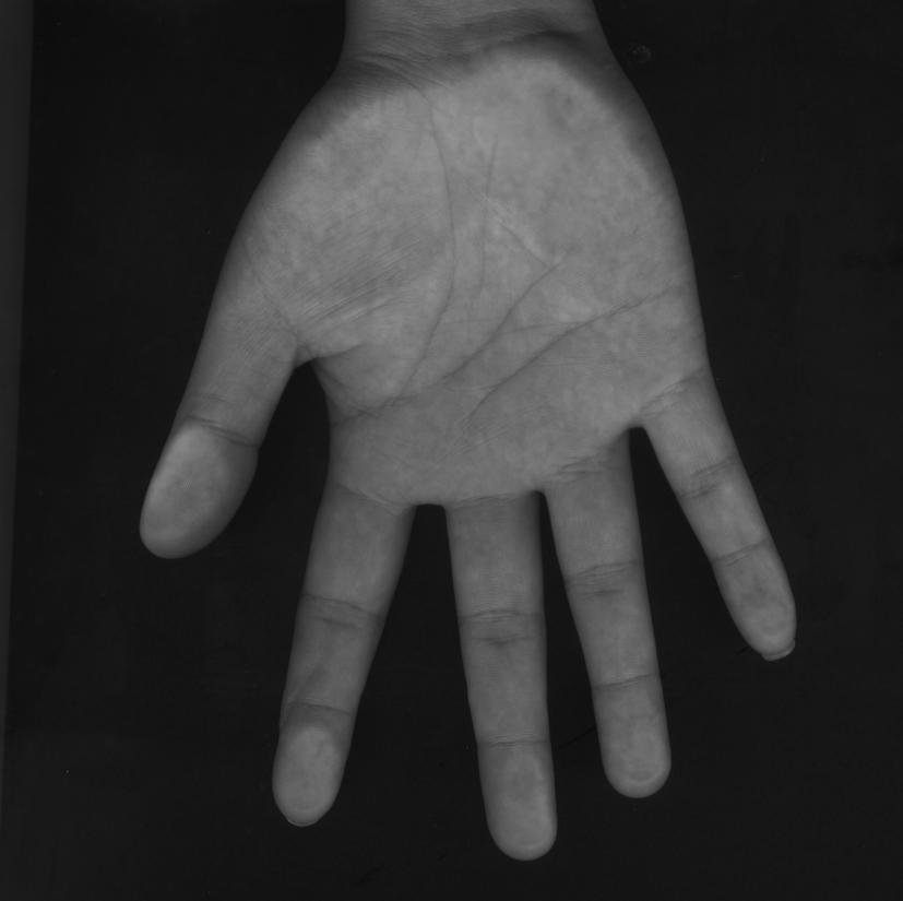 18-29405-upe91D4.jpg