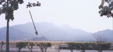 451254-Image.jpg