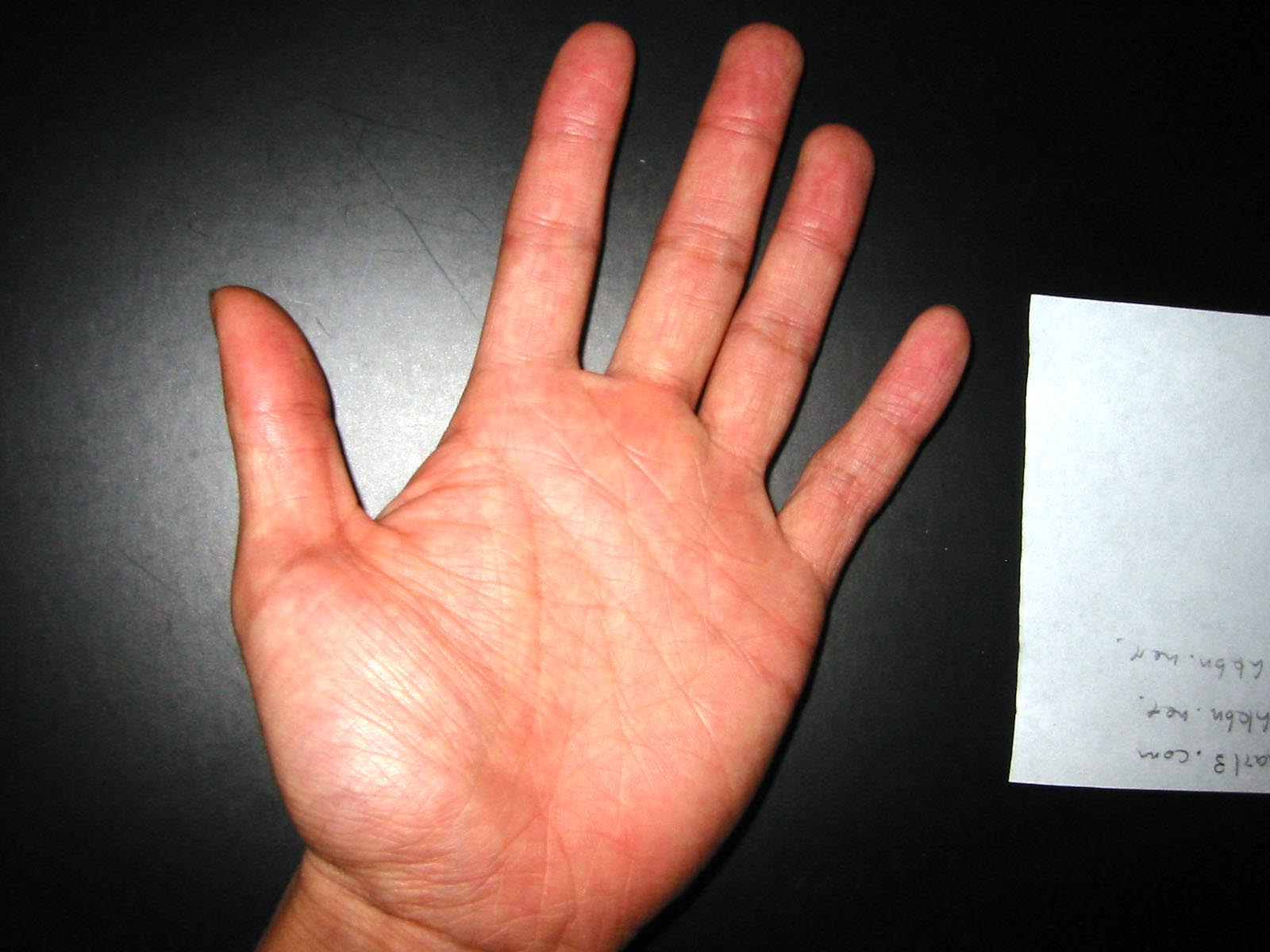 453893-leftpalm.jpg