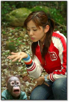 614967-rose_monkey.jpg