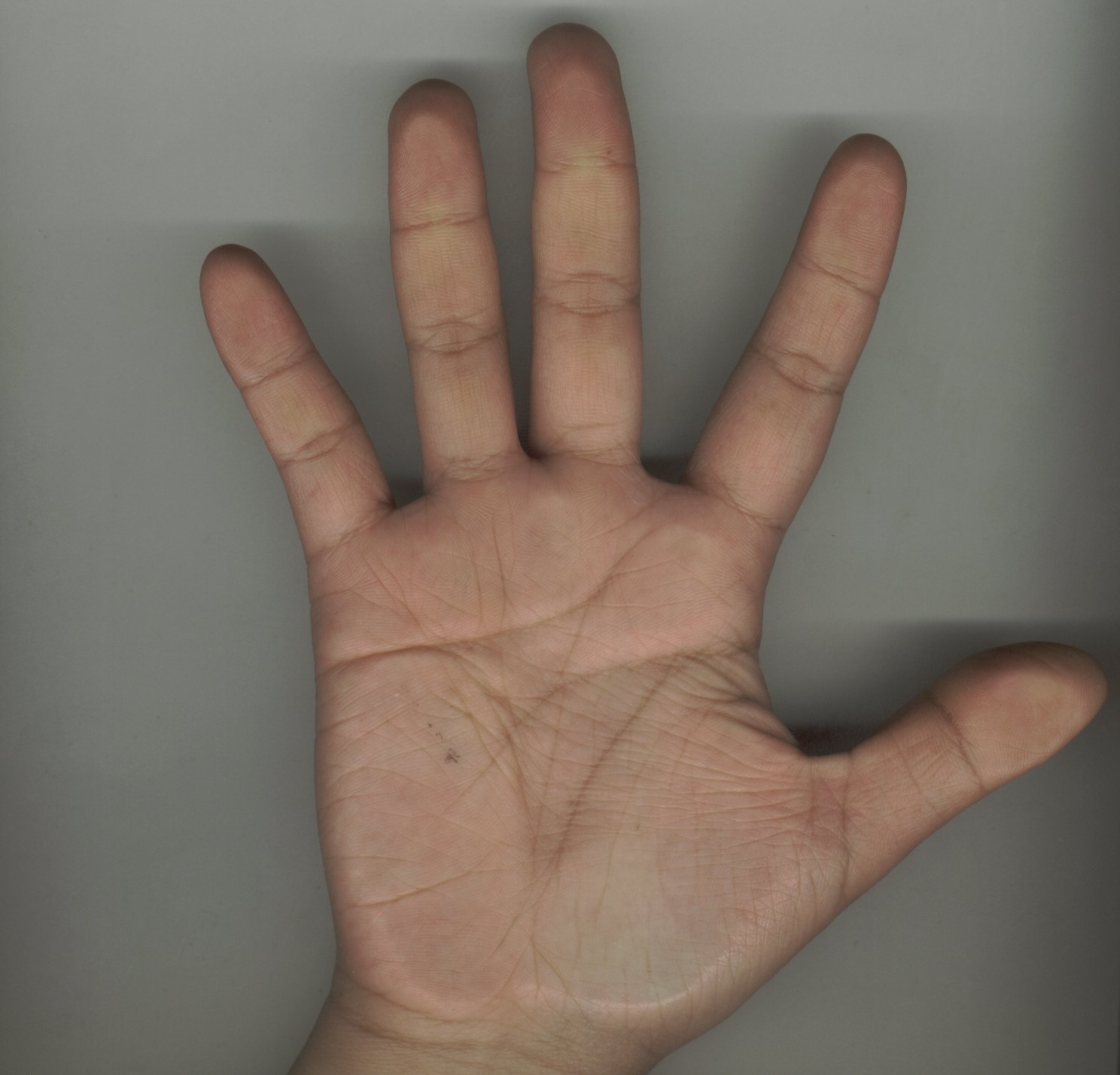 655829-hand_right.jpg