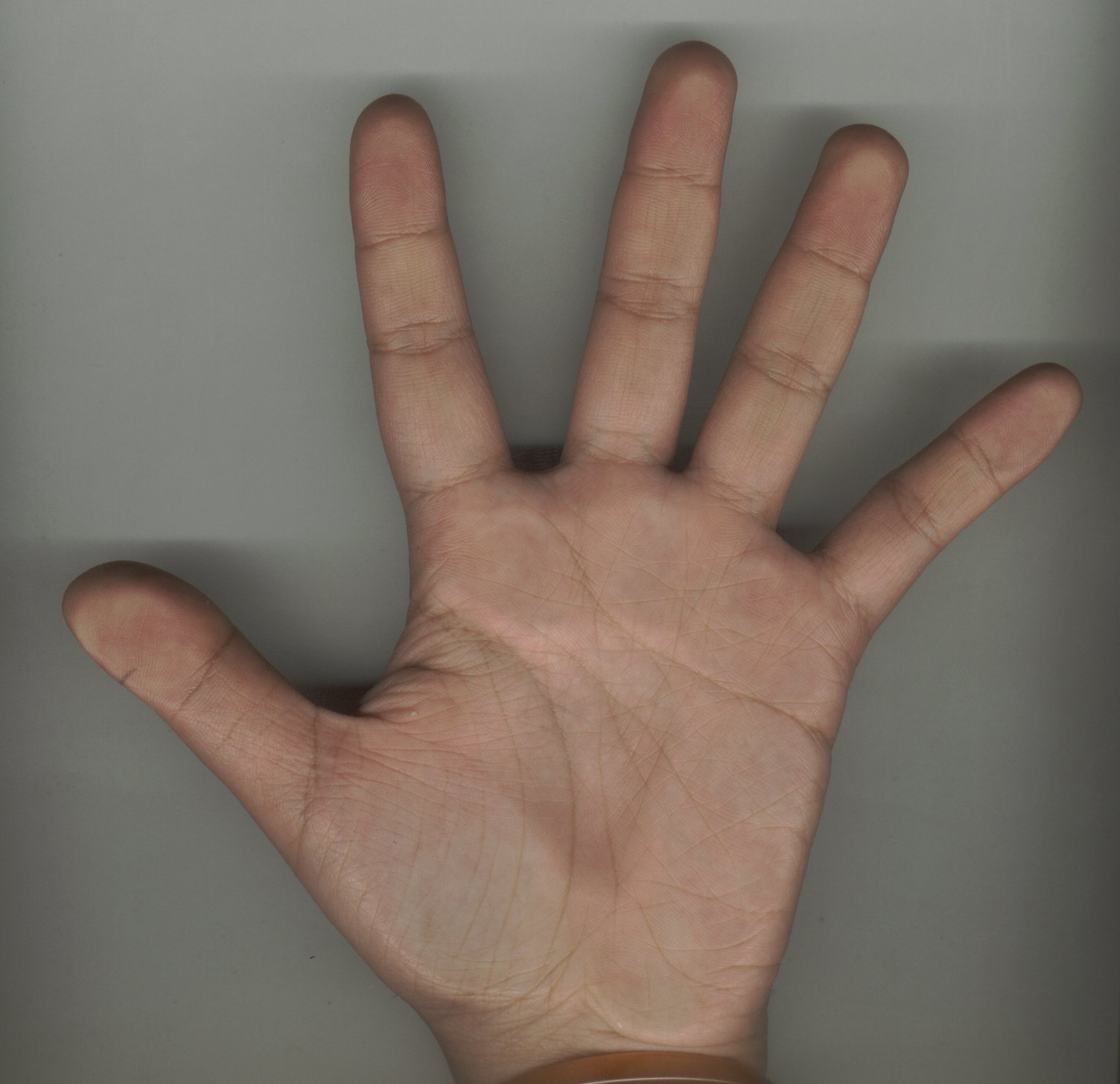 655831-hand_left.jpg