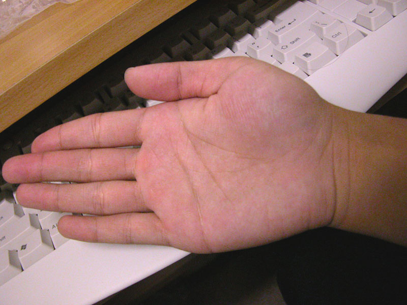 751584-DSCN0980B.jpg