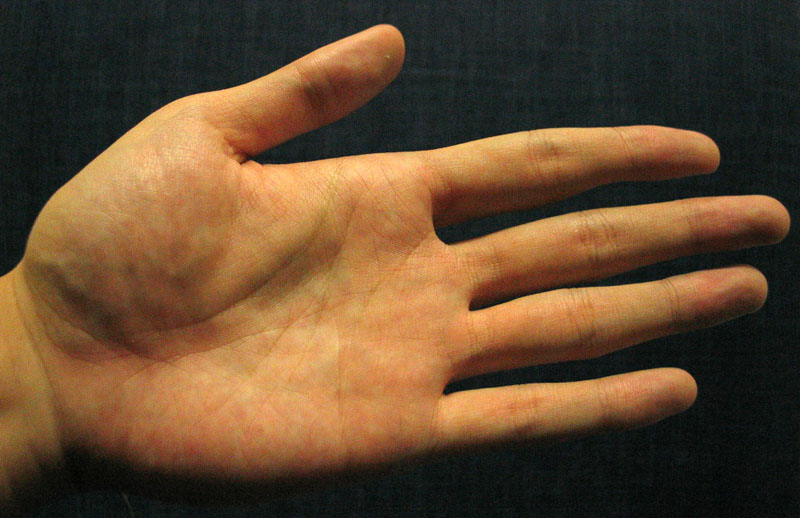 759548-left_palm.jpg