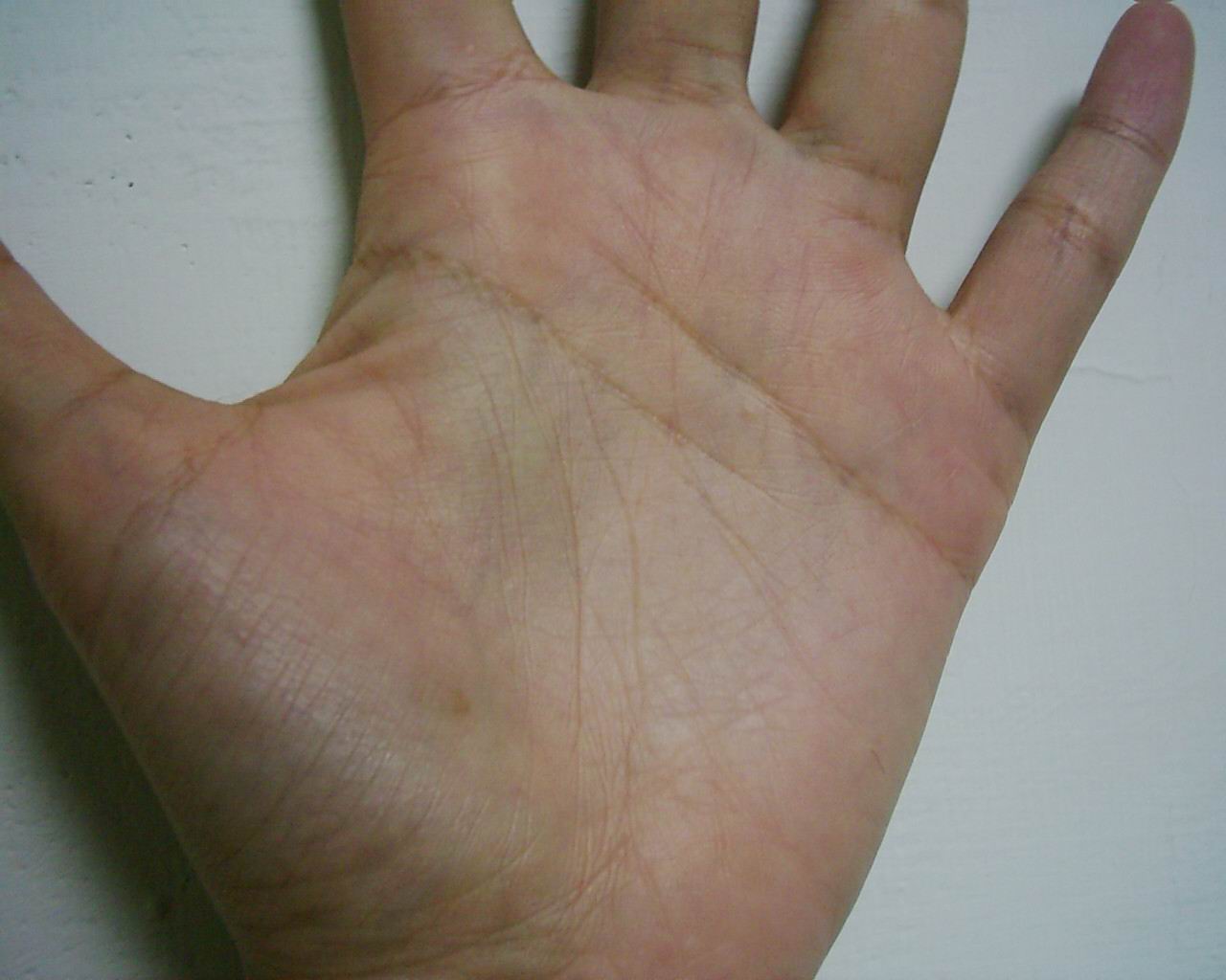764678-aa.jpg