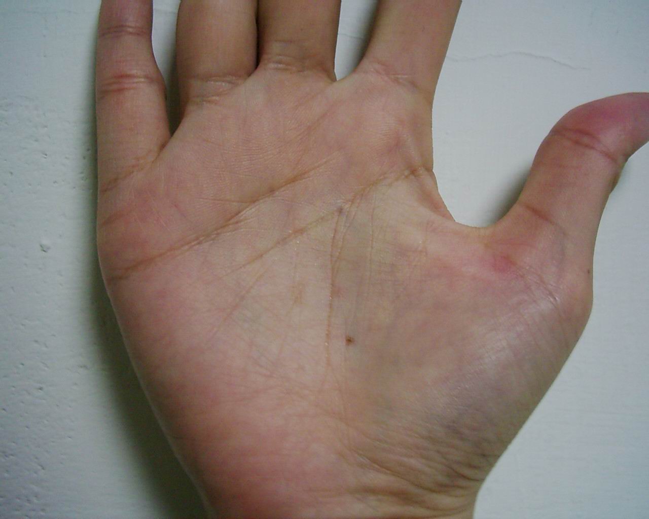 764682-bb.jpg