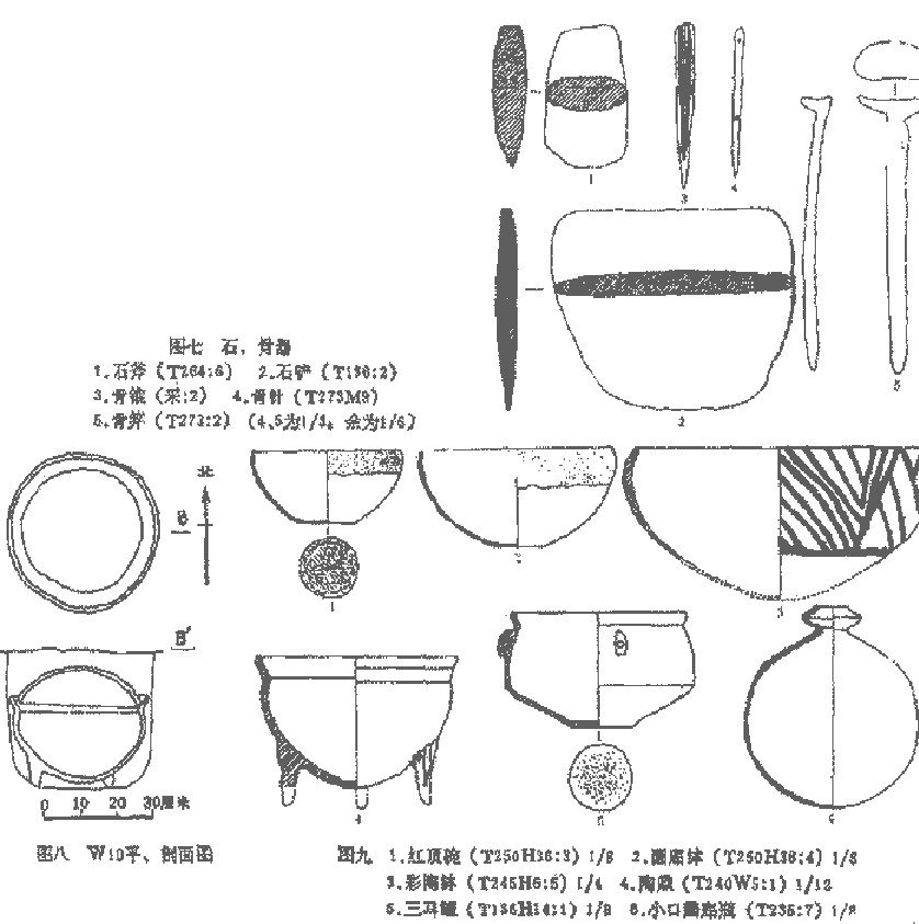 1394220-3_1125330972.jpg