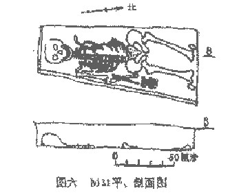 1394236-8_1125331132.jpg