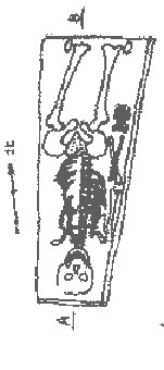 1394240-12_1125331235.jpg