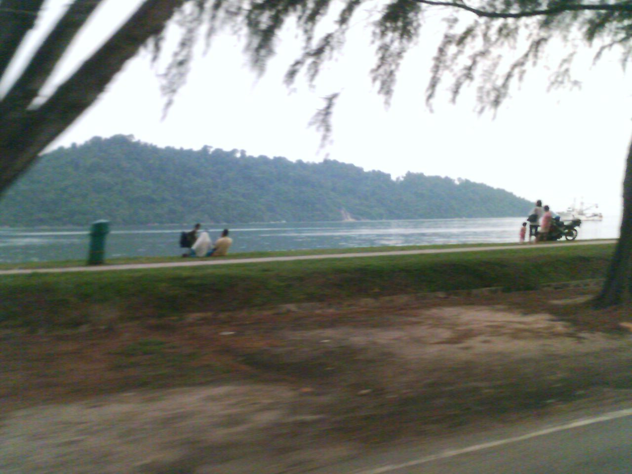 1487467-IMAGE_00192.jpg