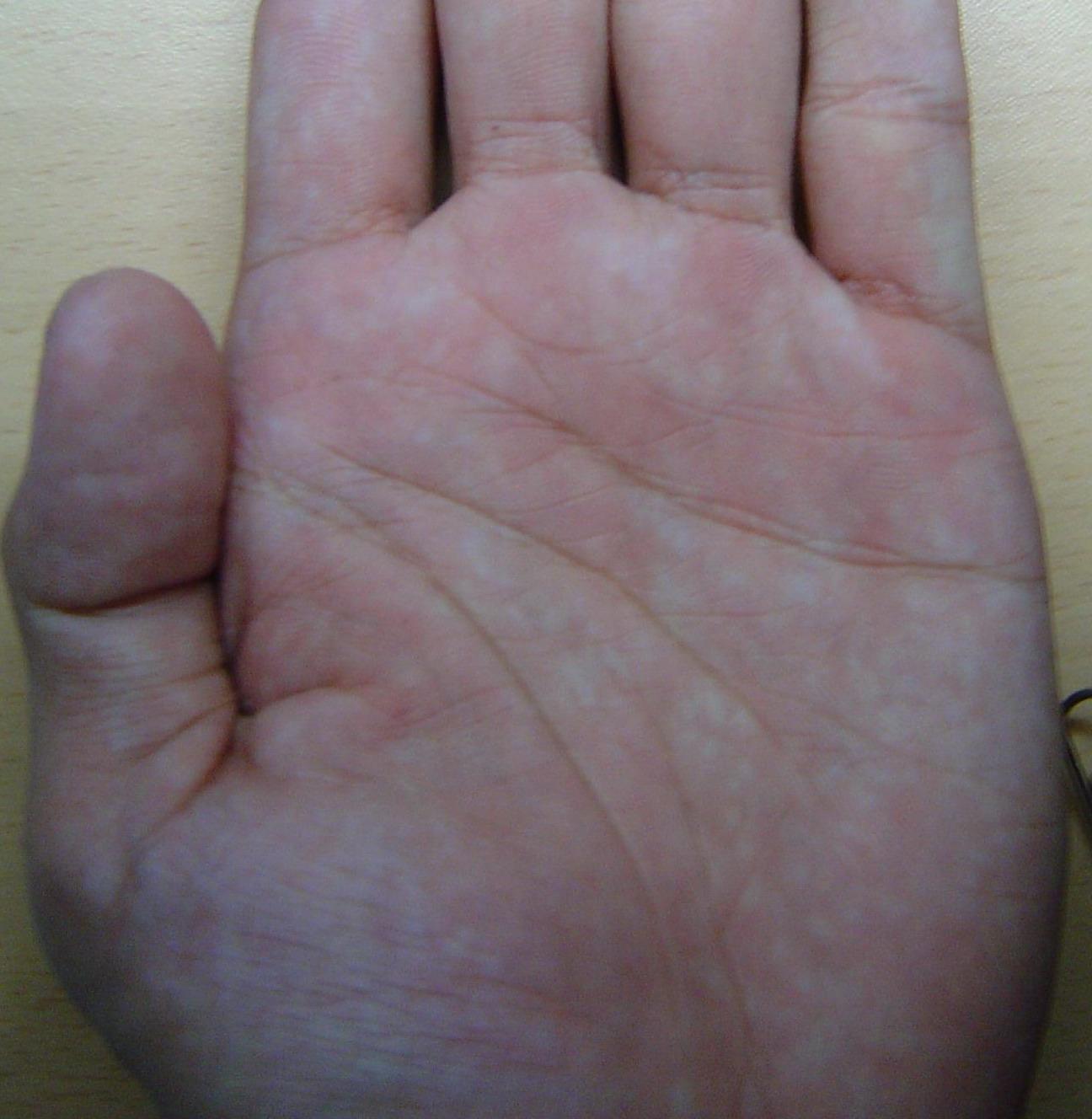1601763-1.jpg