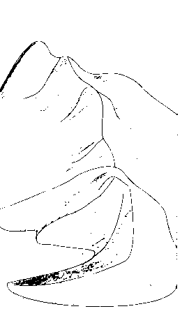 1635279-yibn.gif