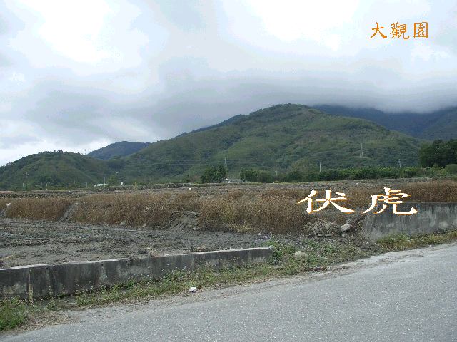 1681824-Cimg0642-1.jpg