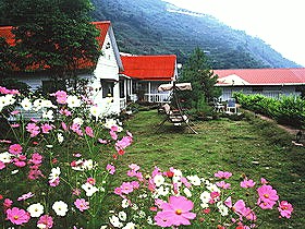 2398741-Y000866000001_1_1.jpg