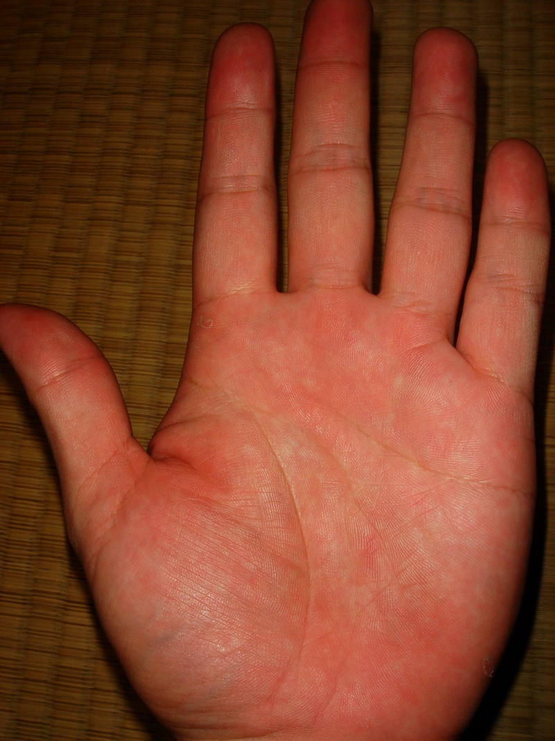 2420862-41698497.jpg