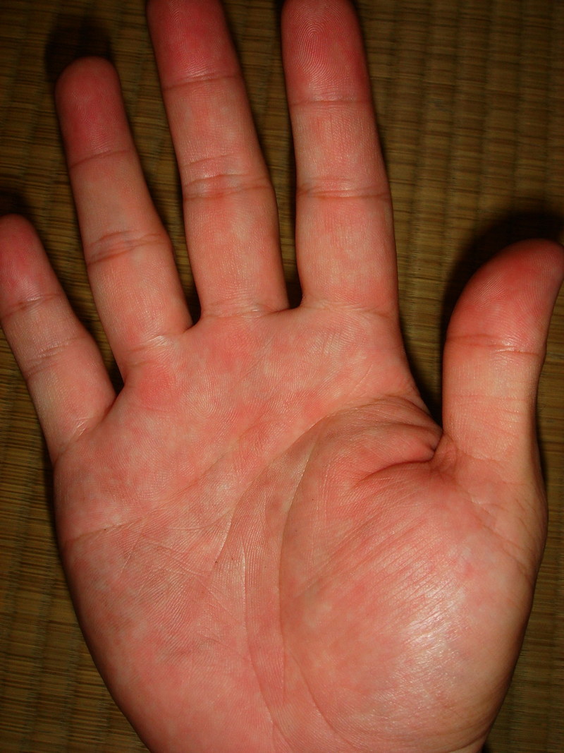 2420868-41698297.jpg