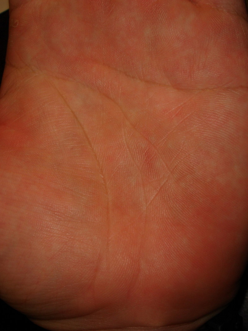 2420870-41698116.jpg