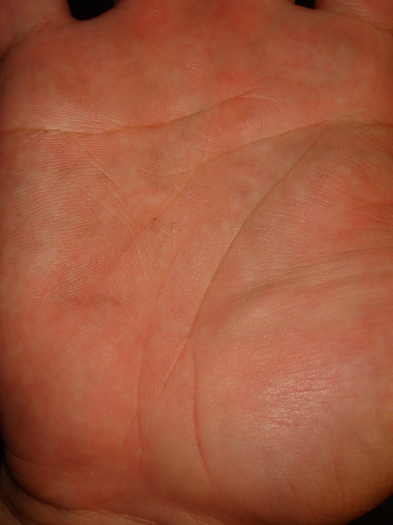 2420874-41698091.jpg